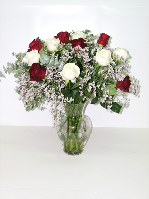 White and Red Roses